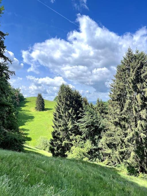 Ferienwohnung Am Hang Mit Malerischer Aussicht Osterode am Harz ภายนอก รูปภาพ