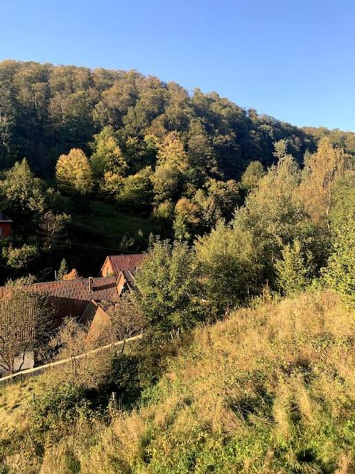 Ferienwohnung Am Hang Mit Malerischer Aussicht Osterode am Harz ภายนอก รูปภาพ